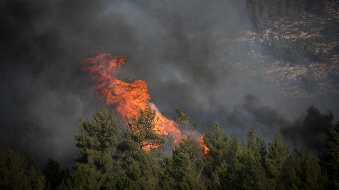 New laser solution could slow spread of forest fires